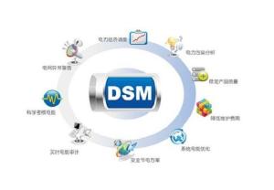 DSM能源管理服务 智能优化，驱动可持续发展的未来