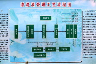 变废为宝的绿色课堂 光大环保常州垃圾焚烧厂的能源管理服务实践